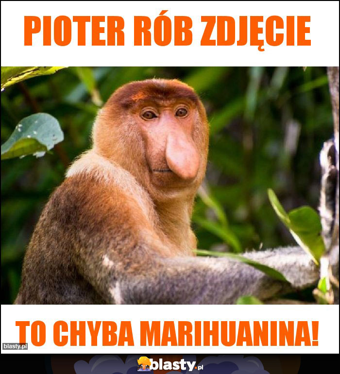 Pioter rób zdjęcie