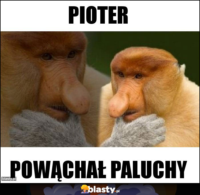 Pioter