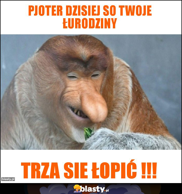 Pjoter dzisiej so twoje łurodziny