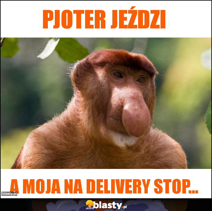 Pjoter jeździ