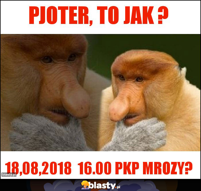 Pjoter, to jak ?