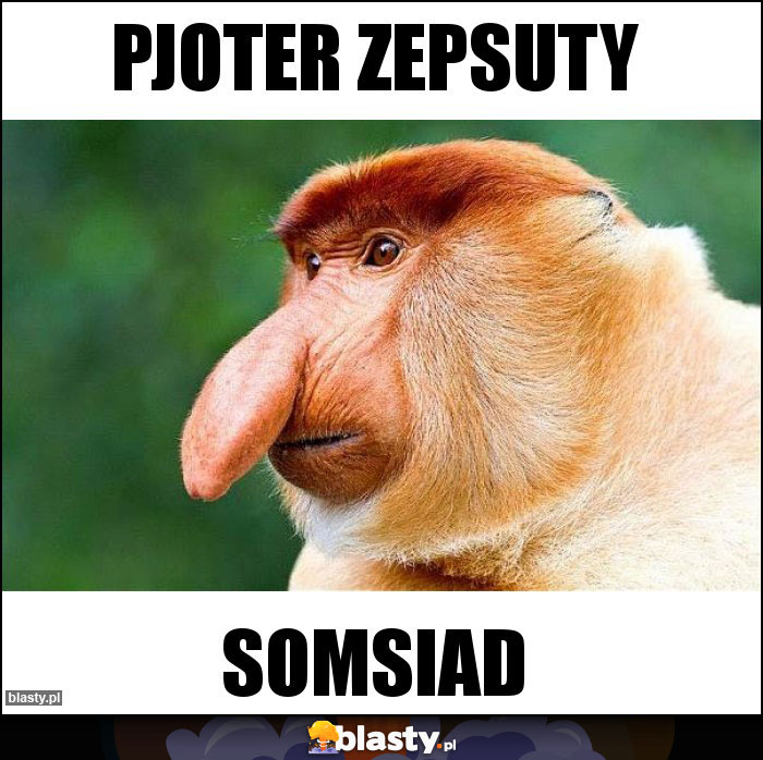 PJOTER ZEPSUTY