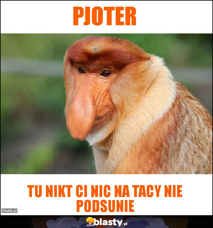 Pjoter