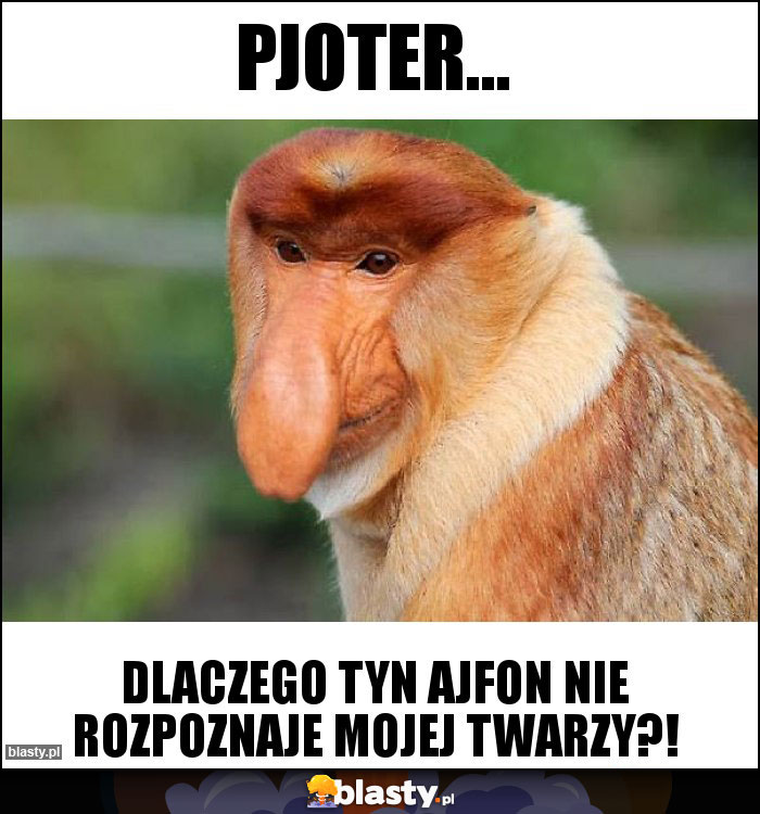 Pjoter...