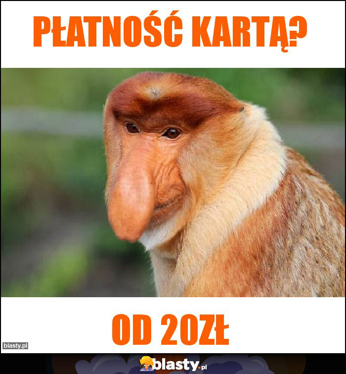 Płatność kartą?