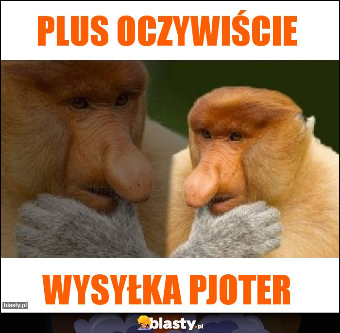 PLUS OCZYWIŚCIE