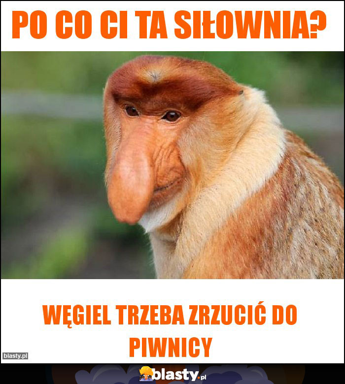 Po co ci ta siłownia?