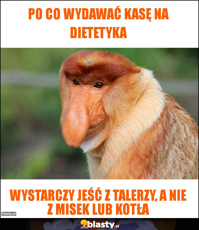 PO CO WYDAWAĆ KASĘ NA DIETETYKA