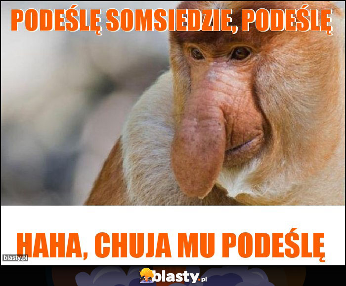 Podeślę somsiedzie, podeślę