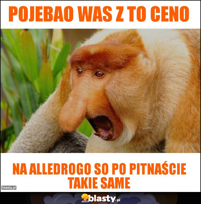 POJEBAO WAS Z TO CENO