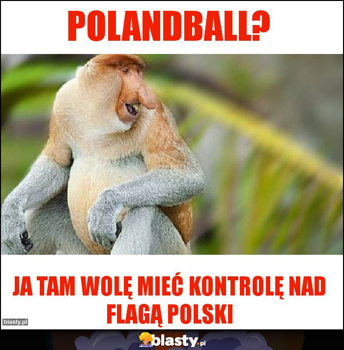 Polandball?