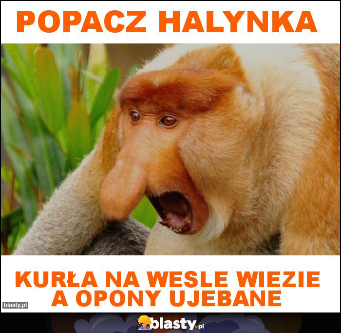 Popacz Halynka