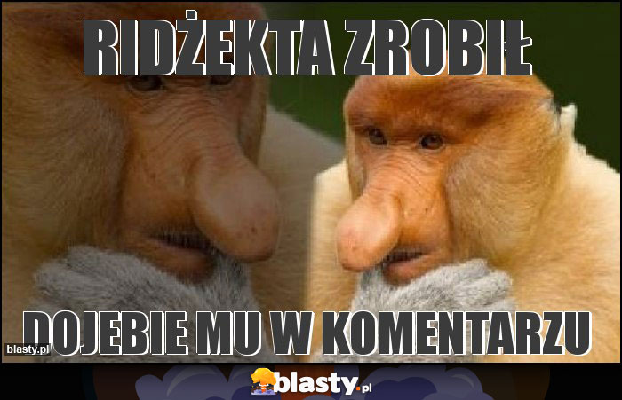 RIDŻEKTA ZROBIŁ