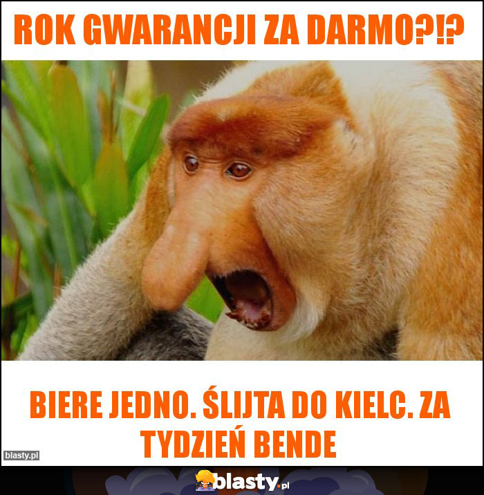 Rok gwarancji za darmo?!?