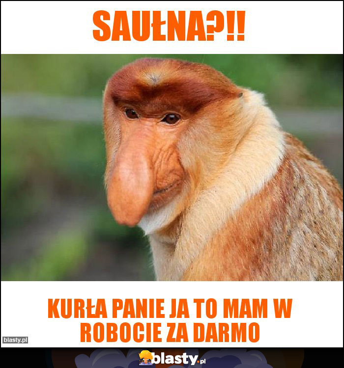 Saułna?!!