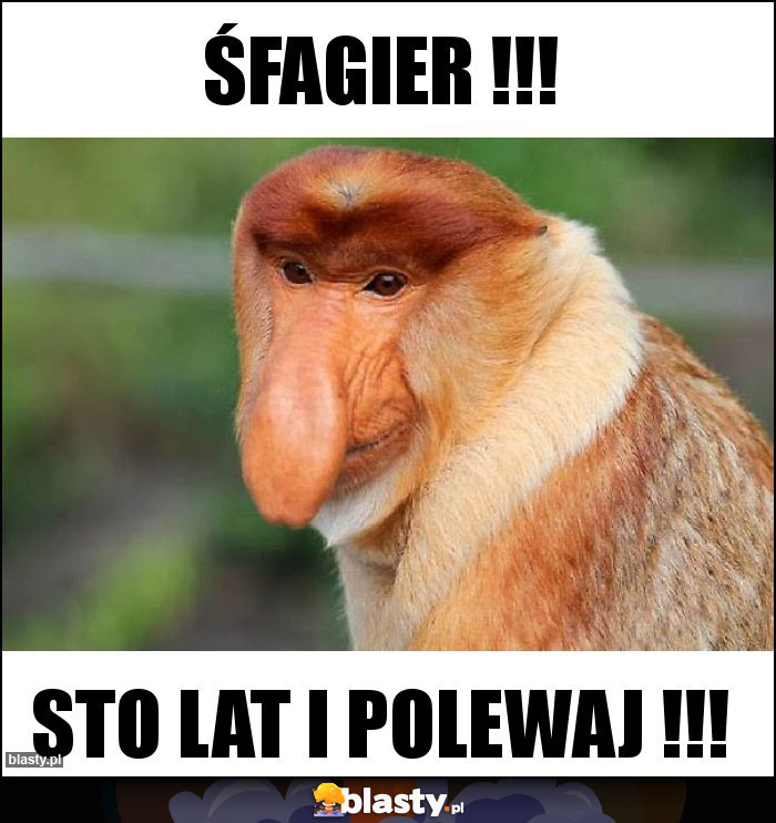 Śfagier !!!