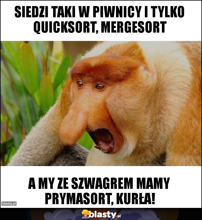 Siedzi taki w piwnicy i tylko quicksort, mergesort