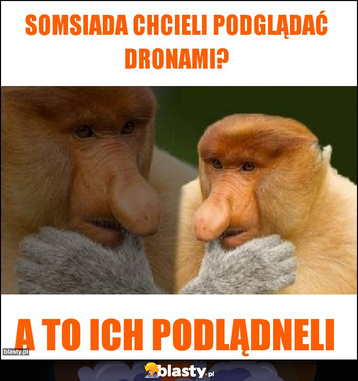 Somsiada chcieli podglądać dronami?