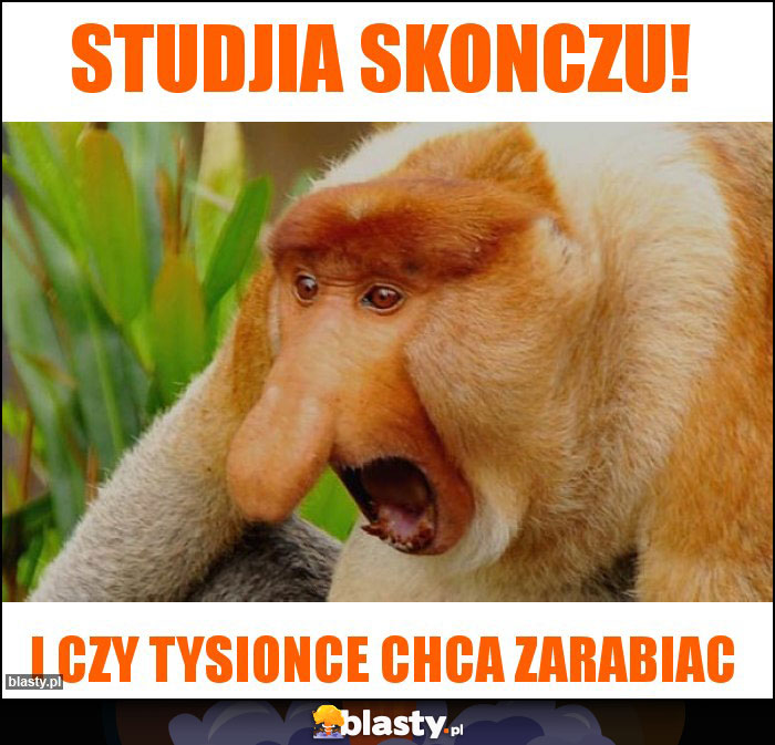 studjia skonczu!