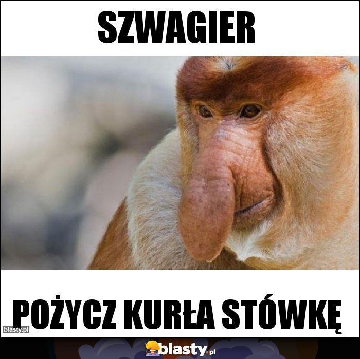 Szwagier