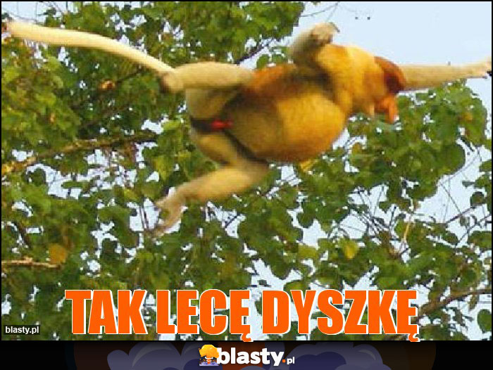 TAK LECĘ DYSZKĘ