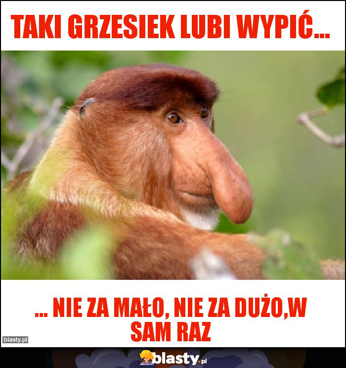 Taki Grzesiek lubi wypić...