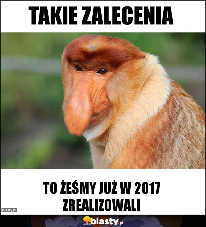 Takie zalecenia