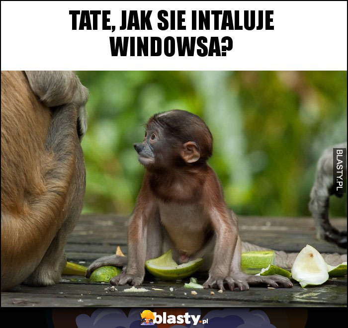 Tate, jak sie intaluje Windowsa?