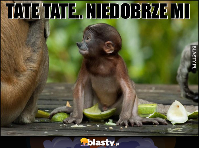 Tate tate.. niedobrze mi