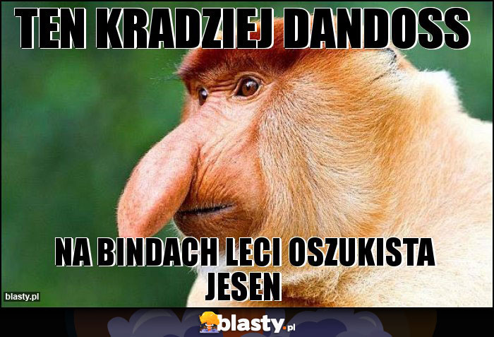 Ten kradziej Dandoss