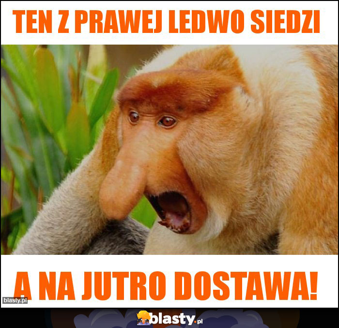 Ten z prawej ledwo siedzi