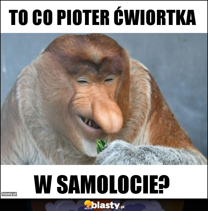 To co Pioter ćwiortka