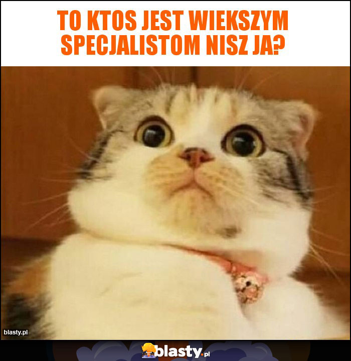 to ktos jest wiekszym specjalistom nisz ja?