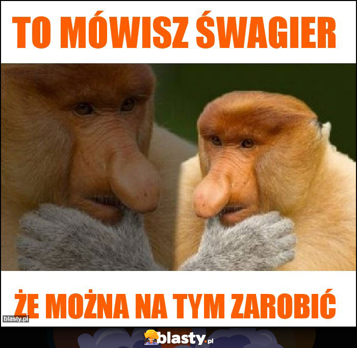 to mówisz śwagier