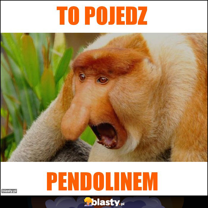 to pojedz