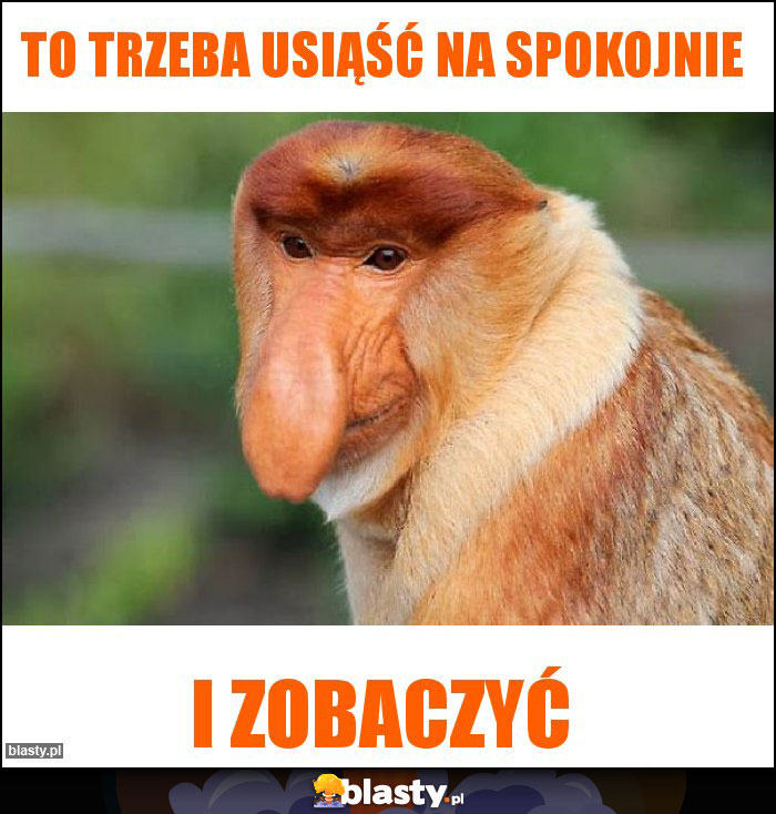 To trzeba usiąść na spokojnie