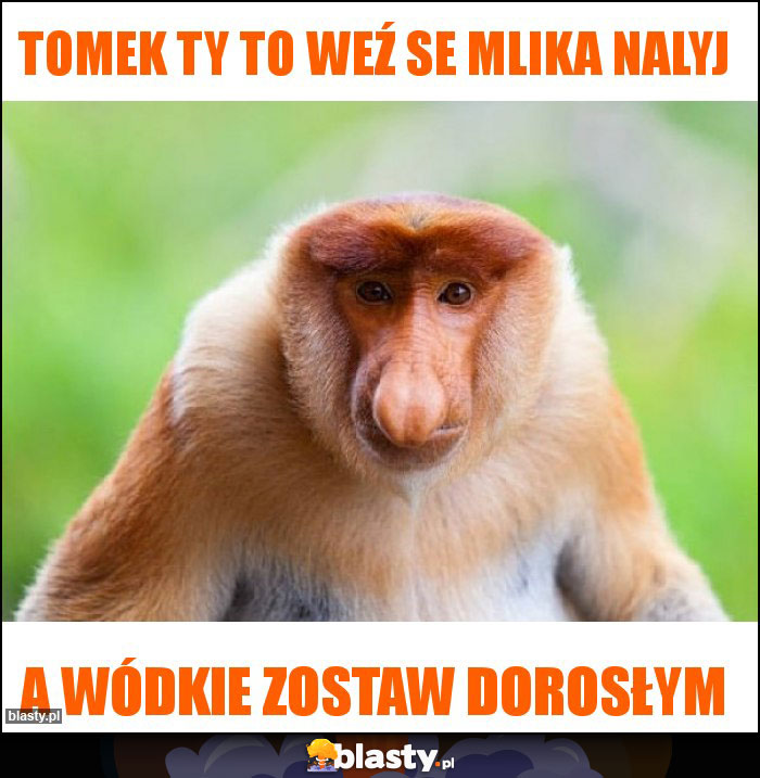 Tomek ty to weź se mlika nalyj