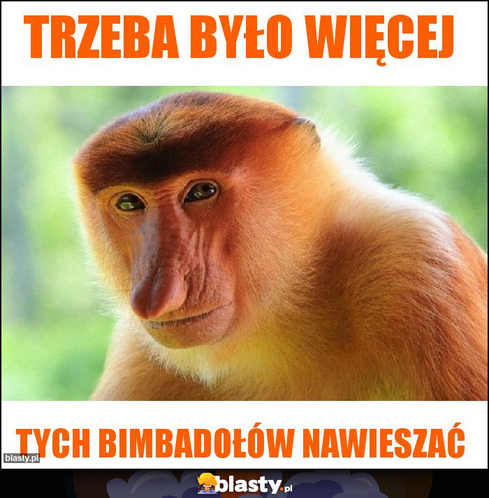 Trzeba było więcej