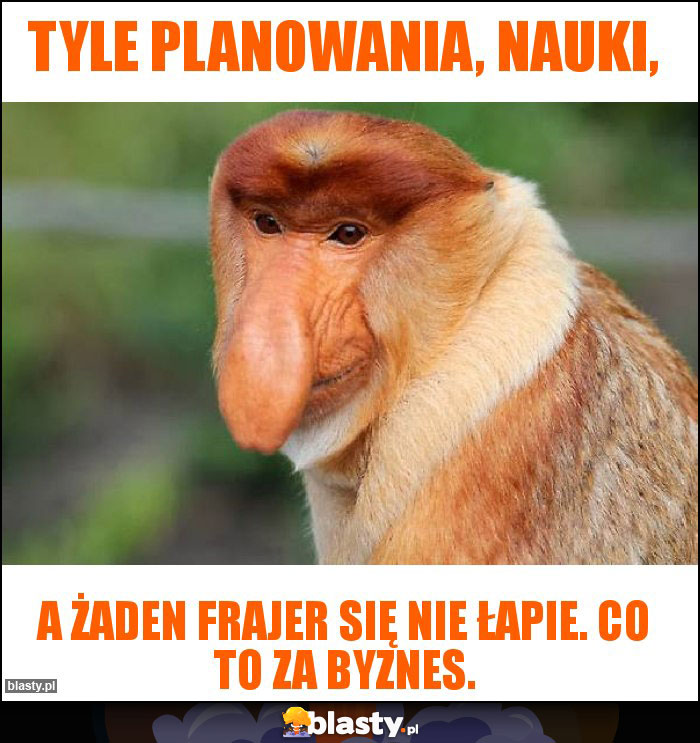 Tyle planowania, nauki,