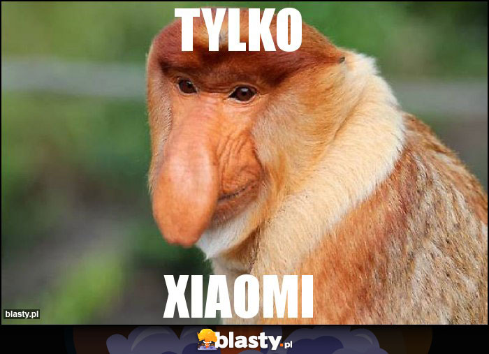 Tylko