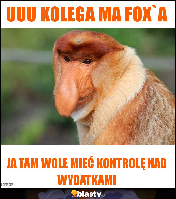 UUU KOLEGA MA FOX`A