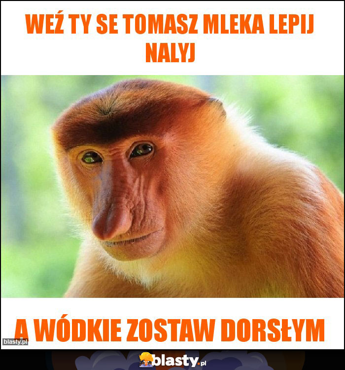 Weź ty se Tomasz mleka lepij nalyj