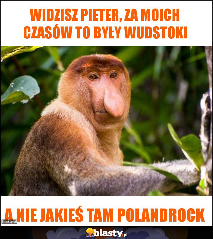 widzisz pieter, za moich czasów to były wudstoki