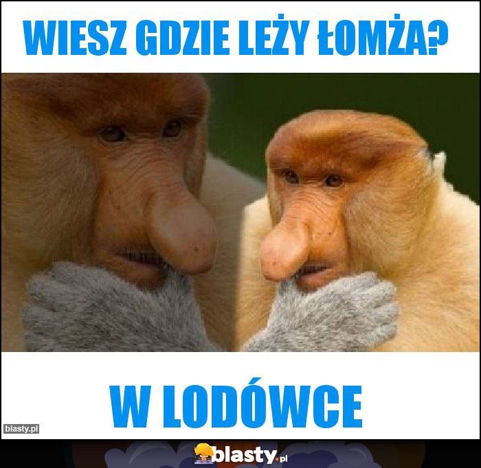 Wiesz gdzie leży łomża?