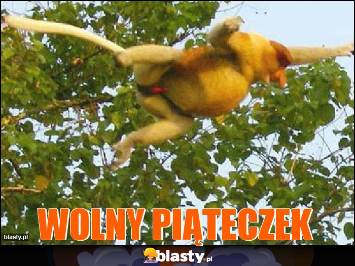 wolny piąteczek