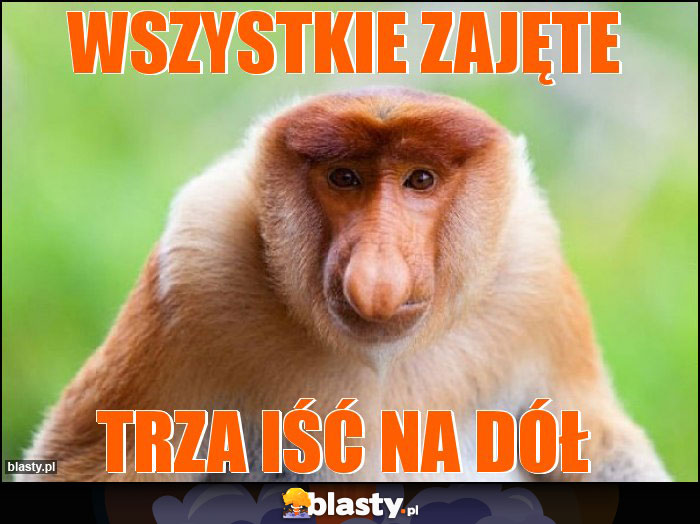 wszystkie zajęte