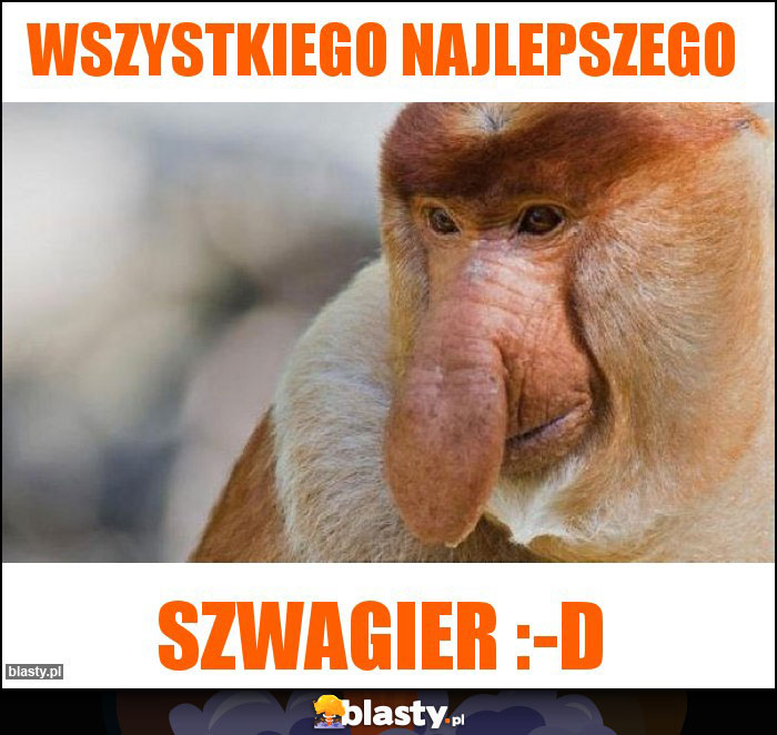 Wszystkiego najlepszego