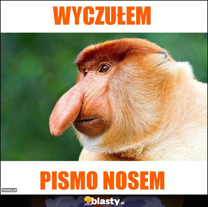 wyczułem