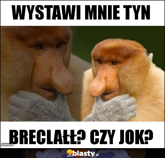 Wystawi mnie tyn