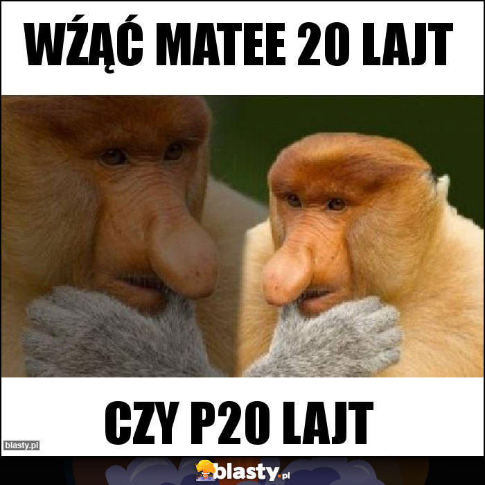 Wźąć Matee 20 lajt